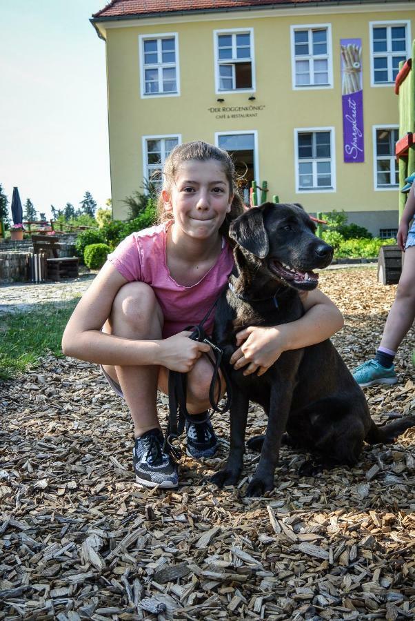 Familien- Und Freizeithotel Gutshaus Petkus Esterno foto
